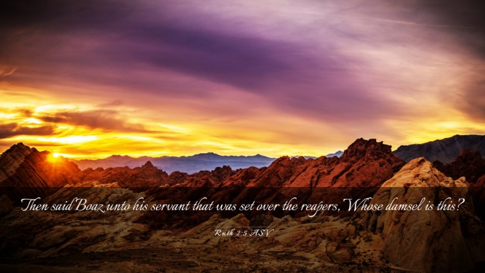Picture 03 - Ruth 2:5 ASV Desktop Wallpaper - Then said Boaz unto his servant that was set over - Desktop Bible Verse Wallpaper