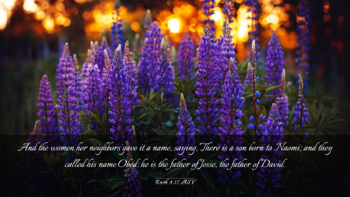 Picture 03 - Ruth 4:17 ASV Desktop Wallpaper - And the women her neighbors gave it a name, - Desktop Bible Verse Wallpaper