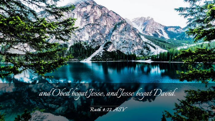 Picture 03 - Ruth 4:22 ASV Desktop Wallpaper - and Obed begat Jesse, and Jesse begat - Desktop Bible Verse Wallpaper
