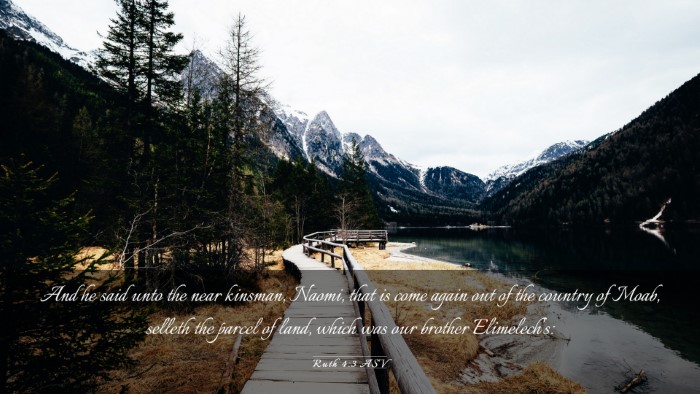 Picture 03 - Ruth 4:3 ASV Desktop Wallpaper - And he said unto the near kinsman, Naomi, that is - Desktop Bible Verse Wallpaper