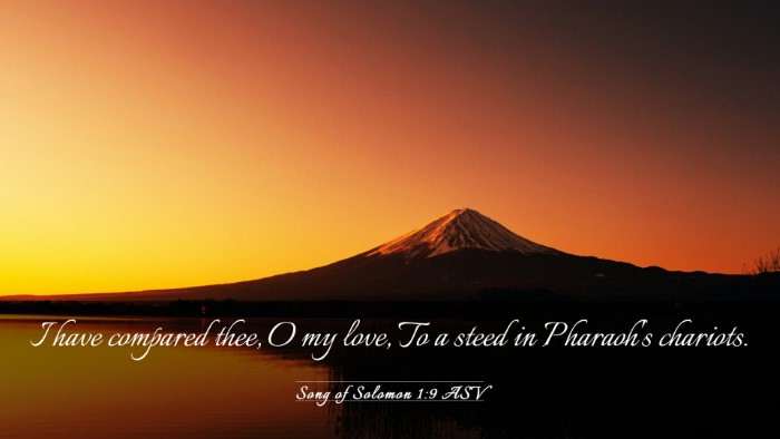 Picture 03 - Song of Solomon 1:9 ASV Desktop Wallpaper - I have compared thee, O my love, To a steed in - Desktop Bible Verse Wallpaper
