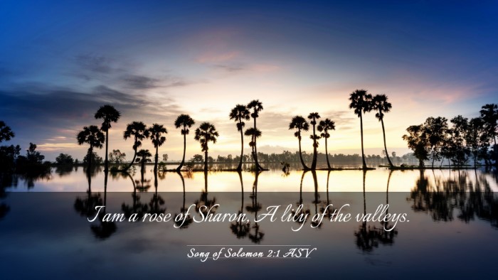 Picture 03 - Song of Solomon 2:1 ASV Desktop Wallpaper - I am a rose of Sharon, A lily of the - Desktop Bible Verse Wallpaper