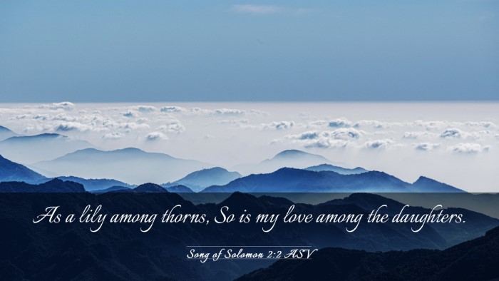 Picture 03 - Song of Solomon 2:2 ASV Desktop Wallpaper - As a lily among thorns, So is my love among the - Desktop Bible Verse Wallpaper