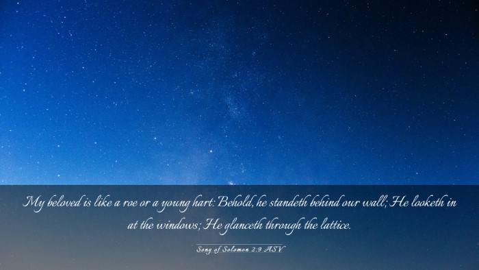Picture 03 - Song of Solomon 2:9 ASV Desktop Wallpaper - My beloved is like a roe or a young hart: Behold, - Desktop Bible Verse Wallpaper
