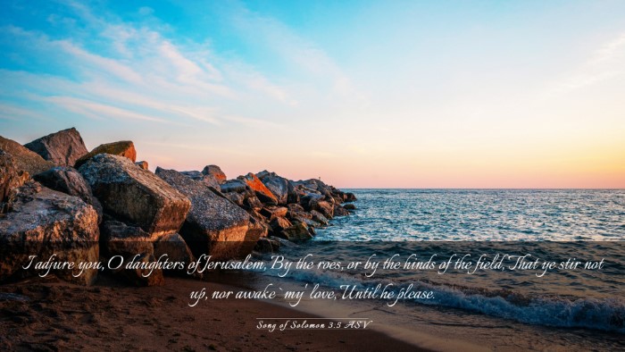 Picture 03 - Song of Solomon 3:5 ASV Desktop Wallpaper - I adjure you, O daughters of Jerusalem, By the - Desktop Bible Verse Wallpaper