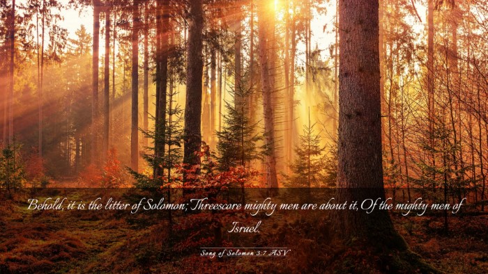 Picture 03 - Song of Solomon 3:7 ASV Desktop Wallpaper - Behold, it is the litter of Solomon; Threescore - Desktop Bible Verse Wallpaper