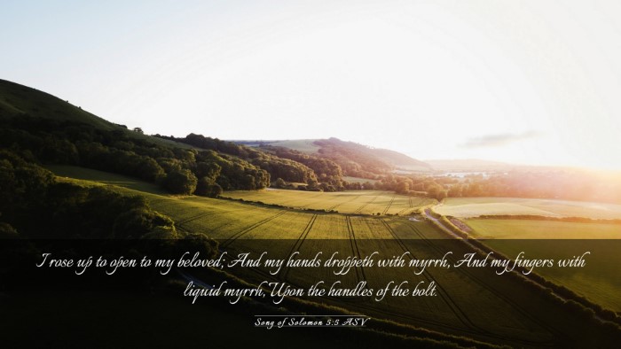 Picture 03 - Song of Solomon 5:5 ASV Desktop Wallpaper - I rose up to open to my beloved; And my hands - Desktop Bible Verse Wallpaper