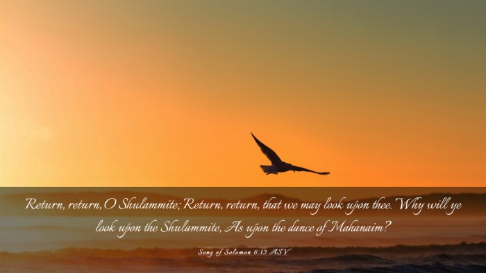 Picture 03 - Song of Solomon 6:13 ASV Desktop Wallpaper - Return, return, O Shulammite; Return, return, - Desktop Bible Verse Wallpaper
