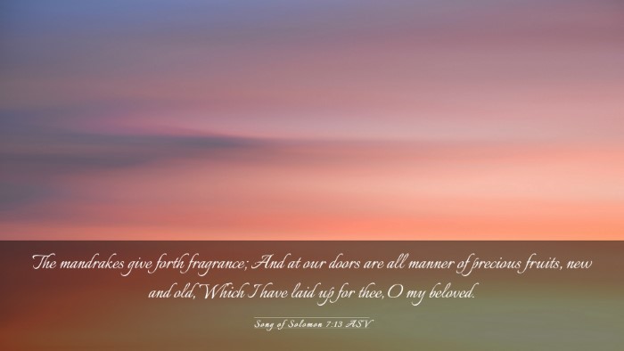 Picture 03 - Song of Solomon 7:13 ASV Desktop Wallpaper - The mandrakes give forth fragrance; And at our - Desktop Bible Verse Wallpaper