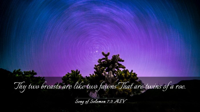 Picture 03 - Song of Solomon 7:3 ASV Desktop Wallpaper - Thy two breasts are like two fawns That are twins - Desktop Bible Verse Wallpaper