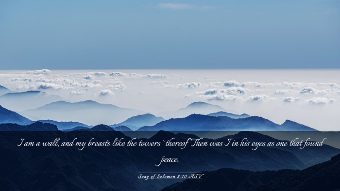 Picture 03 - Song of Solomon 8:10 ASV Desktop Wallpaper - I am a wall, and my breasts like the towers - Desktop Bible Verse Wallpaper