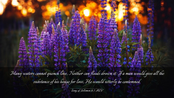 Picture 03 - Song of Solomon 8:7 ASV Desktop Wallpaper - Many waters cannot quench love, Neither can - Desktop Bible Verse Wallpaper