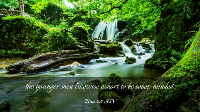 Picture 03 - Titus 2:6 ASV Desktop Wallpaper - the younger men likewise exhort to be - Desktop Bible Verse Wallpaper