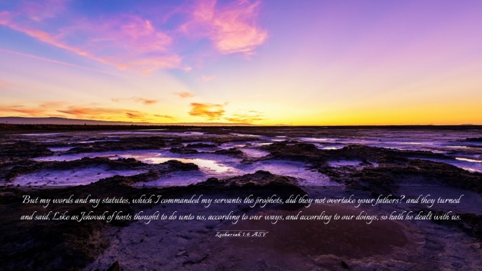 Picture 03 - Zechariah 1:6 ASV Desktop Wallpaper - But my words and my statutes, which I commanded - Desktop Bible Verse Wallpaper