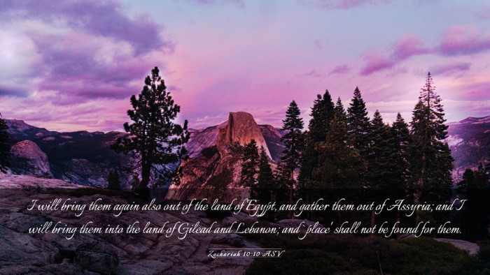 Picture 03 - Zechariah 10:10 ASV Desktop Wallpaper - I will bring them again also out of the land of - Desktop Bible Verse Wallpaper