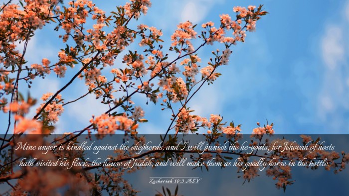 Picture 03 - Zechariah 10:3 ASV Desktop Wallpaper - Mine anger is kindled against the shepherds, and - Desktop Bible Verse Wallpaper