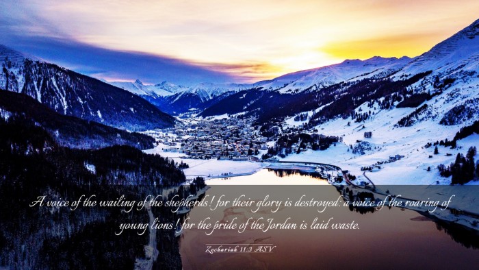 Picture 03 - Zechariah 11:3 ASV Desktop Wallpaper - A voice of the wailing of the shepherds! for - Desktop Bible Verse Wallpaper
