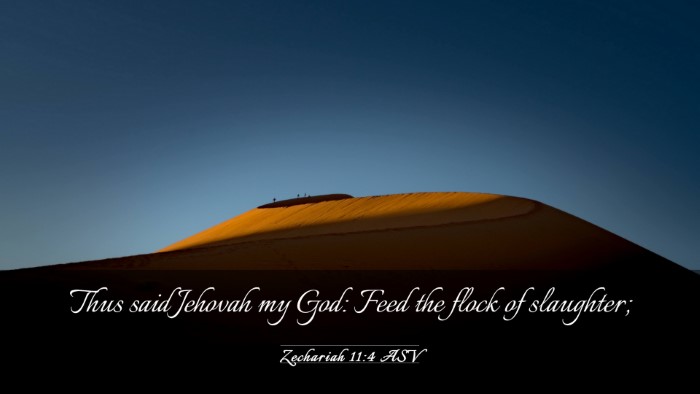 Picture 03 - Zechariah 11:4 ASV Desktop Wallpaper - Thus said Jehovah my God: Feed the flock of - Desktop Bible Verse Wallpaper