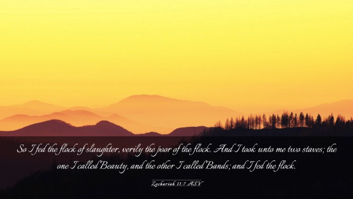 Picture 03 - Zechariah 11:7 ASV Desktop Wallpaper - So I fed the flock of slaughter, verily the poor - Desktop Bible Verse Wallpaper