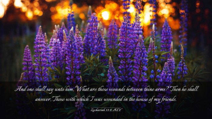 Picture 03 - Zechariah 13:6 ASV Desktop Wallpaper - And one shall say unto him, What are these wounds - Desktop Bible Verse Wallpaper