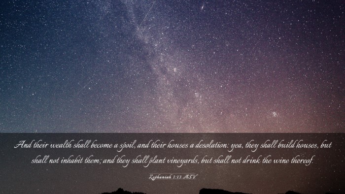 Picture 03 - Zephaniah 1:13 ASV Desktop Wallpaper - And their wealth shall become a spoil, and their - Desktop Bible Verse Wallpaper