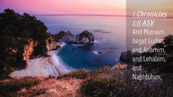 Picture 04 - 1 Chronicles 1:11 ASV Desktop Wallpaper - And Mizraim begat Ludim, and Anamim, and Lehabim, - Desktop Bible Verse Wallpaper