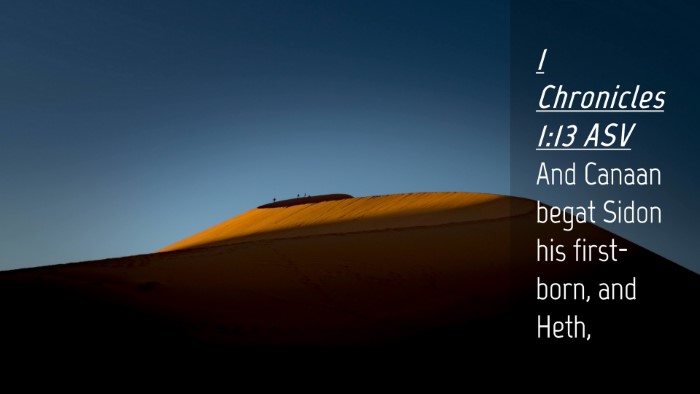 Picture 04 - 1 Chronicles 1:13 ASV Desktop Wallpaper - And Canaan begat Sidon his first-born, and - Desktop Bible Verse Wallpaper