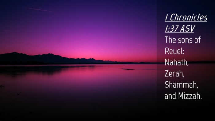Picture 04 - 1 Chronicles 1:37 ASV Desktop Wallpaper - The sons of Reuel: Nahath, Zerah, Shammah, and - Desktop Bible Verse Wallpaper
