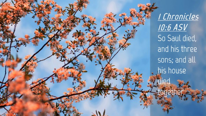 Picture 04 - 1 Chronicles 10:6 ASV Desktop Wallpaper - So Saul died, and his three sons; and all his - Desktop Bible Verse Wallpaper