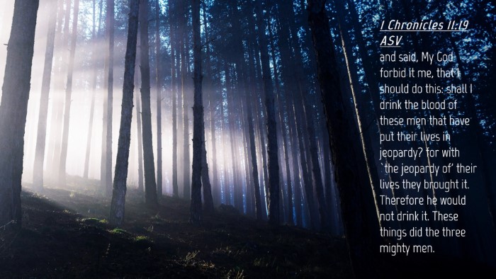 Picture 04 - 1 Chronicles 11:19 ASV Desktop Wallpaper - and said, My God forbid it me, that I should do - Desktop Bible Verse Wallpaper