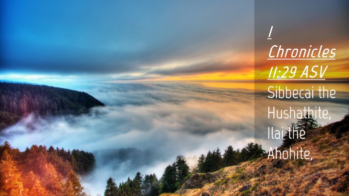 Picture 04 - 1 Chronicles 11:29 ASV Desktop Wallpaper - Sibbecai the Hushathite, Ilai the - Desktop Bible Verse Wallpaper