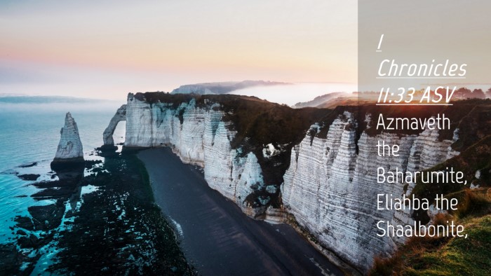 Picture 04 - 1 Chronicles 11:33 ASV Desktop Wallpaper - Azmaveth the Baharumite, Eliahba the - Desktop Bible Verse Wallpaper