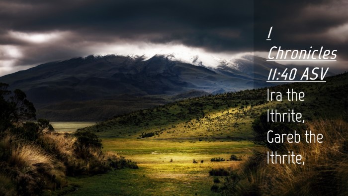 Picture 04 - 1 Chronicles 11:40 ASV Desktop Wallpaper - Ira the Ithrite, Gareb the - Desktop Bible Verse Wallpaper