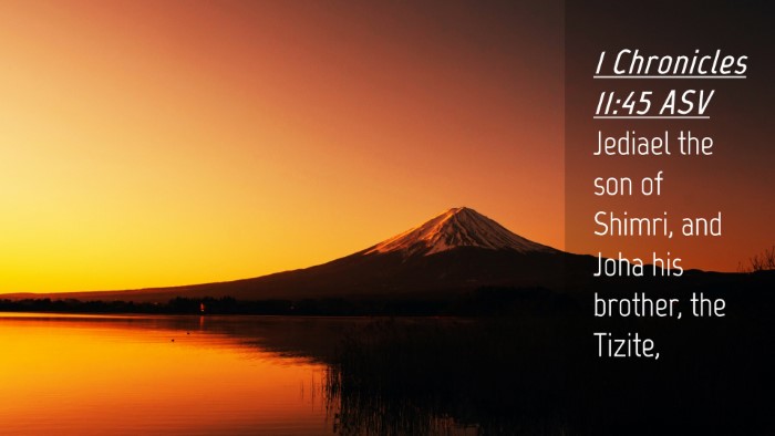 Picture 04 - 1 Chronicles 11:45 ASV Desktop Wallpaper - Jediael the son of Shimri, and Joha his brother, - Desktop Bible Verse Wallpaper