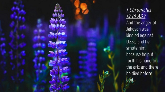 Picture 04 - 1 Chronicles 13:10 ASV Desktop Wallpaper - And the anger of Jehovah was kindled against - Desktop Bible Verse Wallpaper