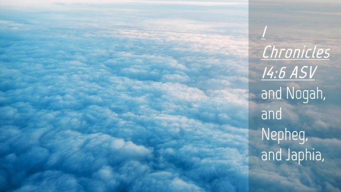Picture 04 - 1 Chronicles 14:6 ASV Desktop Wallpaper - and Nogah, and Nepheg, and - Desktop Bible Verse Wallpaper