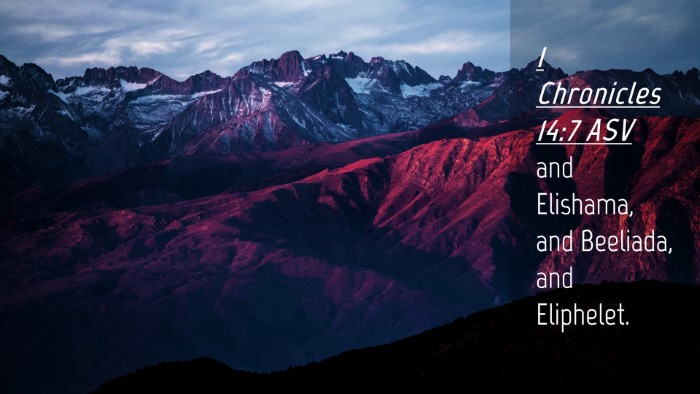 Picture 04 - 1 Chronicles 14:7 ASV Desktop Wallpaper - and Elishama, and Beeliada, and - Desktop Bible Verse Wallpaper