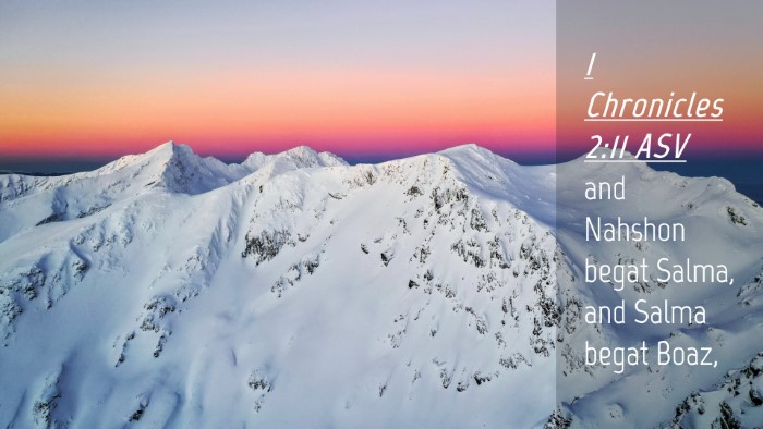 Picture 04 - 1 Chronicles 2:11 ASV Desktop Wallpaper - and Nahshon begat Salma, and Salma begat - Desktop Bible Verse Wallpaper