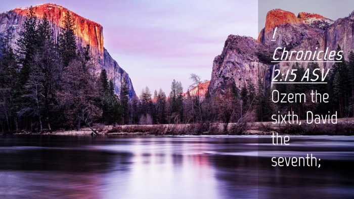 Picture 04 - 1 Chronicles 2:15 ASV Desktop Wallpaper - Ozem the sixth, David the - Desktop Bible Verse Wallpaper