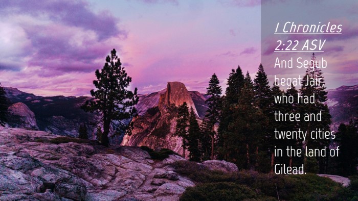 Picture 04 - 1 Chronicles 2:22 ASV Desktop Wallpaper - And Segub begat Jair, who had three and twenty - Desktop Bible Verse Wallpaper