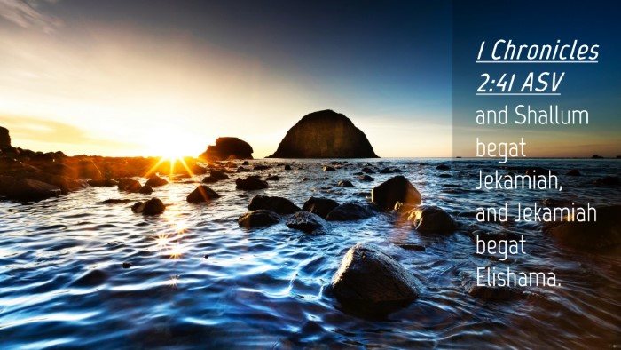 Picture 04 - 1 Chronicles 2:41 ASV Desktop Wallpaper - and Shallum begat Jekamiah, and Jekamiah begat - Desktop Bible Verse Wallpaper
