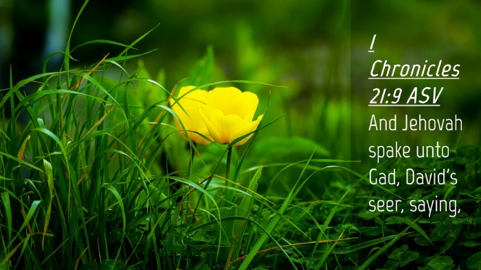 Picture 04 - 1 Chronicles 21:9 ASV Desktop Wallpaper - And Jehovah spake unto Gad, David's seer, - Desktop Bible Verse Wallpaper