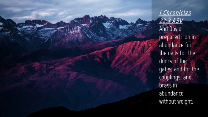 Picture 04 - 1 Chronicles 22:3 ASV Desktop Wallpaper - And David prepared iron in abundance for the - Desktop Bible Verse Wallpaper
