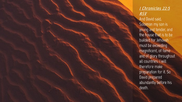 Picture 04 - 1 Chronicles 22:5 ASV Desktop Wallpaper - And David said, Solomon my son is young and - Desktop Bible Verse Wallpaper