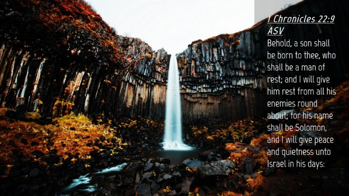Picture 04 - 1 Chronicles 22:9 ASV Desktop Wallpaper - Behold, a son shall be born to thee, who shall be - Desktop Bible Verse Wallpaper