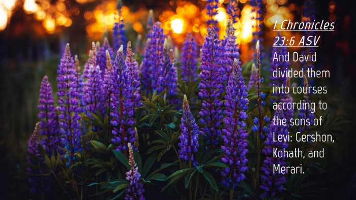 Picture 04 - 1 Chronicles 23:6 ASV Desktop Wallpaper - And David divided them into courses according to - Desktop Bible Verse Wallpaper
