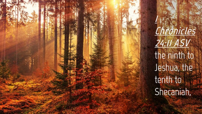 Picture 04 - 1 Chronicles 24:11 ASV Desktop Wallpaper - the ninth to Jeshua, the tenth to - Desktop Bible Verse Wallpaper