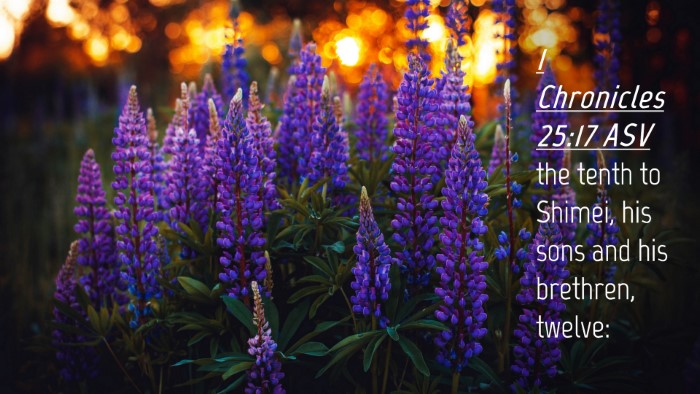 Picture 04 - 1 Chronicles 25:17 ASV Desktop Wallpaper - the tenth to Shimei, his sons and his brethren, - Desktop Bible Verse Wallpaper
