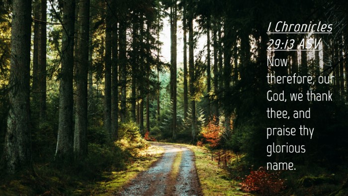 Picture 04 - 1 Chronicles 29:13 ASV Desktop Wallpaper - Now therefore, our God, we thank thee, and praise - Desktop Bible Verse Wallpaper
