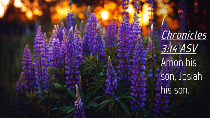 Picture 04 - 1 Chronicles 3:14 ASV Desktop Wallpaper - Amon his son, Josiah his - Desktop Bible Verse Wallpaper
